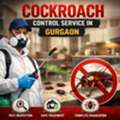 Cockroach Control Service In Gurgaon | Safe And Effective Treatment By Service Mantra Pest