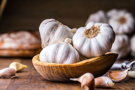 Ahmedabad, Wholesale Products, Garlic Suppliers In Ahmedabad