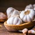 Garlic Suppliers In Ahmedabad