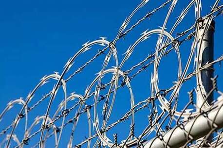 Punjab, Farm & Garden, INR 645,  Concertina Coil Fencing Manufacturers In Punjab