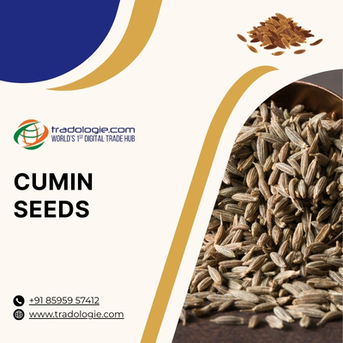 Mumbai, Farm & Garden, INR 2,  Buy Cumin Seeds Bulk From Cumin Seeds Exporters India | Cumin Seeds B2B Marketplace