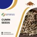 INR 2,  Buy Cumin Seeds Bulk From Cumin Seeds Exporters India | Cumin Seeds B2B Marketplace