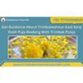 Get Guidance About Trimbakeshwar Kaal Sarp Dosh Puja Booking With Trimbak Pooja