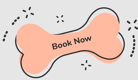 New York, Pet Sitting, Top Dog Walker Los Angeles West Coast Paws Pros