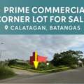 PHP 8900000,  Studio,  544 Sq. Meter,  Commercial - Residential Lot At Calatagan Batangas
