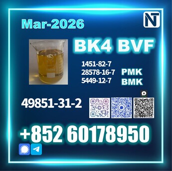 Moscow, Vehicle Lease Transfer, RUB 85,  49851-31-2 Bvf BK4 PMK Premium Factory