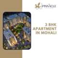Spacious And Comfortable 3 BHK Flats In Mohali