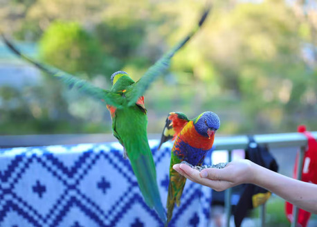 Sydney, Travel, Planning A Jervis Bay Getaway? This Hyams Beach Rental House Has Everything