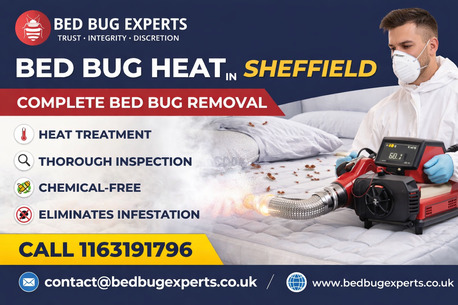 London, Pest Control, How Effective Is Bed Bug Heat Treatment In Sheffield For Complete Removal?