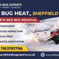 How Effective Is Bed Bug Heat Treatment In Sheffield For Complete Removal?