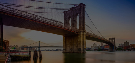 New York, Web Design & Development, Affordable SEO Company In New York To Boost Online Visibility - 88gravity