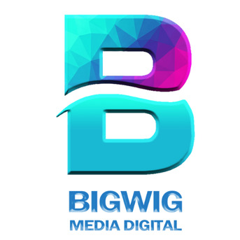New Delhi, Business, BigWig Media Digital | Website Development Company In Delhi