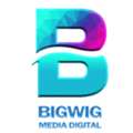 BigWig Media Digital | Website Development Company In Delhi