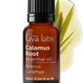 USD 16,  Explore Calamus Essential Oil For Hair & Herbal Blends