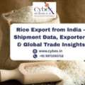 Rice Export From India &ndash; Shipment Data, Exporters & Global Trade Insights