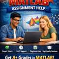 Best MATLAB Assignment Help For Accurate Coding And Simulation Projects