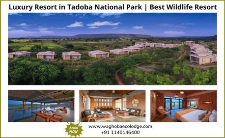 Nagpur, Travel, Book Luxury Resort In Tadoba National Park