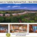 Book Luxury Resort In Tadoba National Park