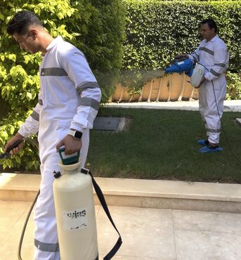 Nasr City, Pest Control, مكافحة حشرات مع الشركة الالمانية لابادة ا
