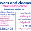 Sofa Carpet Shampo Cleaning And Pest Control Spray And Bed Bugs Killing Solution 81#