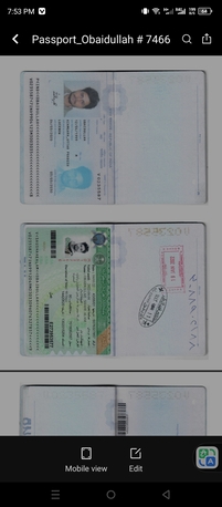 Riyadh, Job Seekers, Wpr Aramco Approved