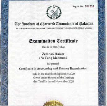 Riyadh, Job Seekers, Accounting & Finance  | CA Professional 5+ Years Of Experience