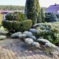 Small Landscaping Changes That Make A Big Impact
