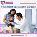 Fetal Heart Specialist In Gurgaon