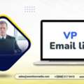Purchase A Specialized VP Email List Outreach List For Your Campaigns