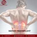 Kidney Transplant In Mumbai | Expert Medical Support - Dr. Chandan Chaudhari