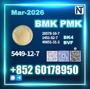 The Hague, Materials, EUR 99,  New BMK 5449-12-7 PMK Top Factory Premium Quality