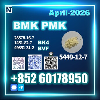 The Hague, Materials, EUR 99,  New BMK 5449-12-7 PMK Top Factory Premium Quality