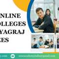 Top Online MBA Colleges In Prayagraj Fees