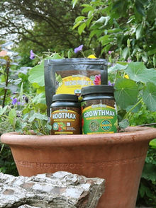 New York, Farm/Garden, Rooting Hormone Powder For Plants For Stronger Roots &ndash; Get 10% OFF Today