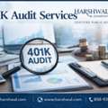 Specialized 401K Audit Services For Growing Organizations