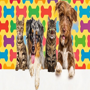 Sydney, Business Partners, Pet Circle