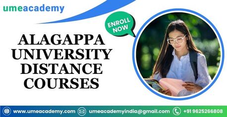 Chennai, Lessons Offered, Alagappa University Distance Courses