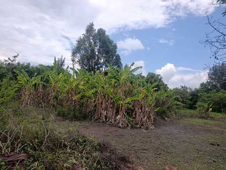 Nairobi, Residential Plots, KES 10000000,  5200 Sq. Feet,  52x100 Land In Kamakis