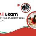IMAT Exam Practice Questions