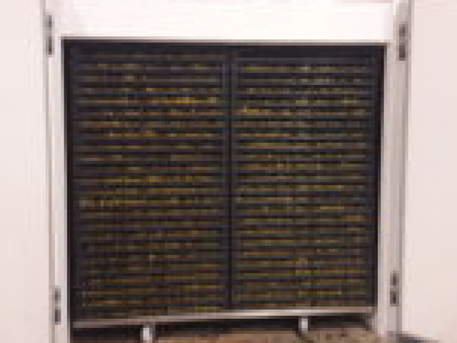 New York, Industrial Machinery, Commercial Fruit Dehydrator Machine