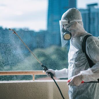 Gurgaon, Pest Control, Professional Termite Control In Gurgaon &ndash; Protect Your Home Today