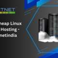 India Cheap Linux Cloud Hosting - Hostnetindia