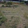 KES 9500000,  5000 Sq. Feet,  50x100 Plot Located In Ruiru
