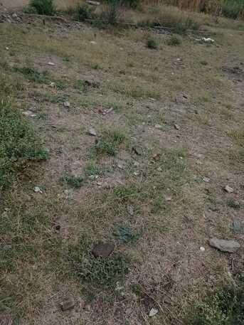 Nairobi, Residential Plots, KES 9500000,  5000 Sq. Feet,  50x100 Plot Located In Ruiru