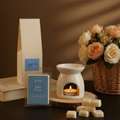 INR 449,  Premium Handcrafted Flame-Free Soy Wax Melts