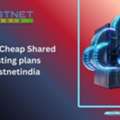 Indian Cheap Shared Hosting Plans Hostnetindia