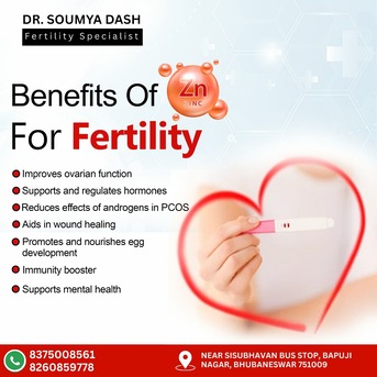 Bhubaneswar, Health, Benefits Of Zinc For Fertility | Best Fertility Specialist In Bhubaneswar | Dr Soumya Dash