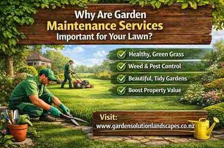 Auckland, Farm/Garden, Why Are Garden Maintenance Services Important For Your Lawn?