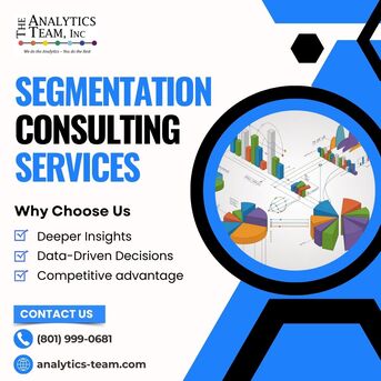New York, Accounting, Segmentation Consulting Services