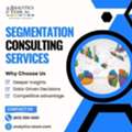 Segmentation Consulting Services